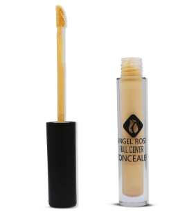 ANGEL Rose Concealers