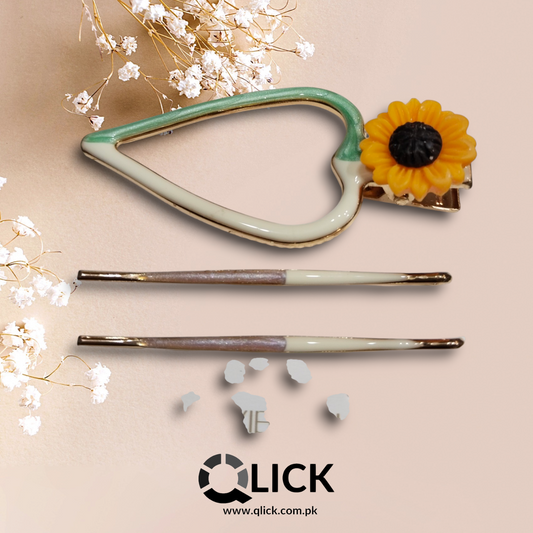 Resin Metal Hair Clip/Barrette Set